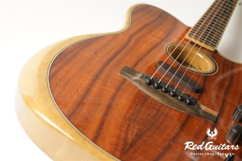 American Acoustasonic Telecaster Exotic Koa
